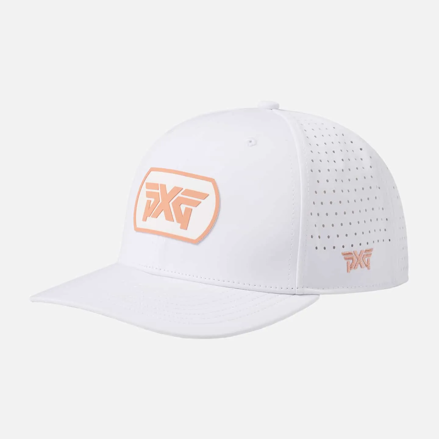 6 Panel Dog Tag Structured Low Crown Snapback